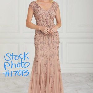 Christina Wu ELEGANCE  Beaded Mesh STUNNING Gown Mother-of-the Bride